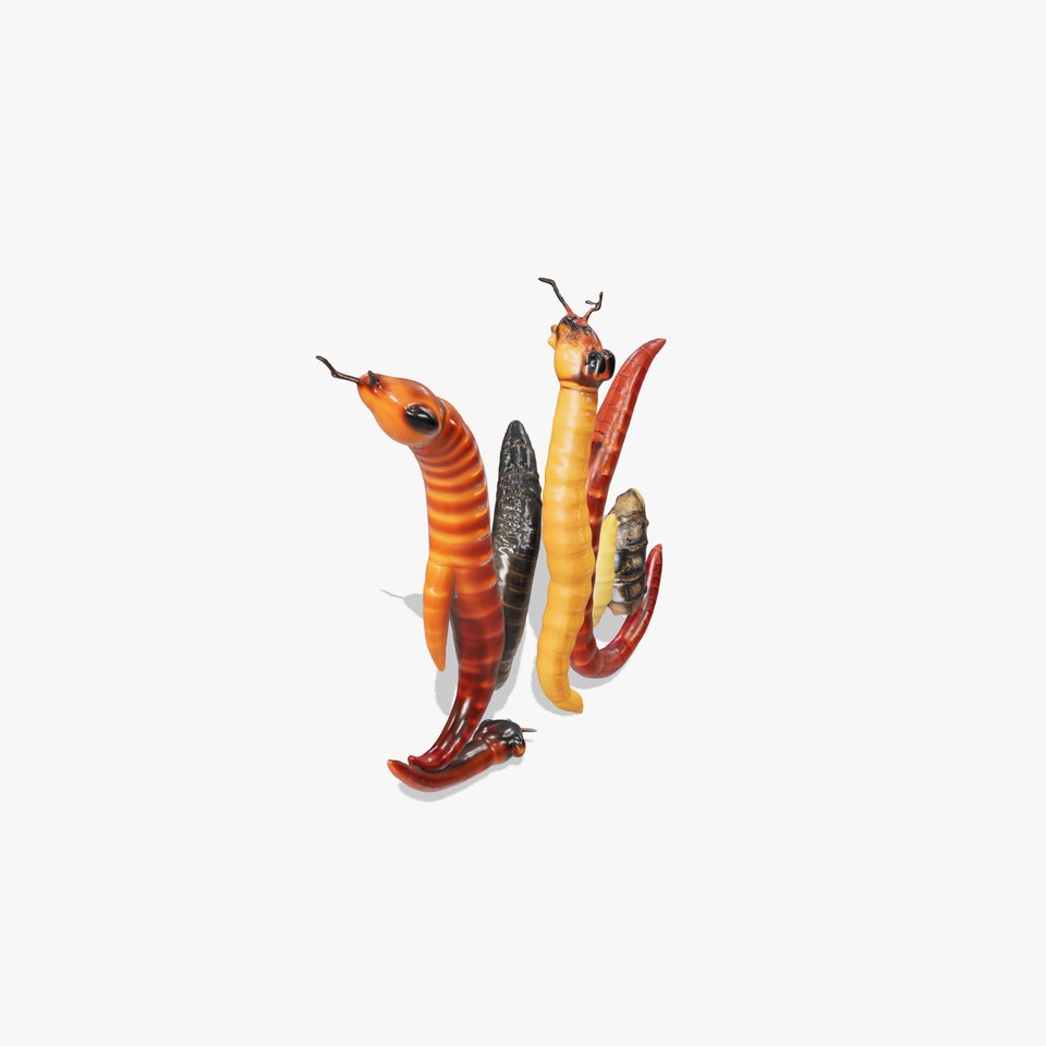 Alien Serpent Creature Model Pack